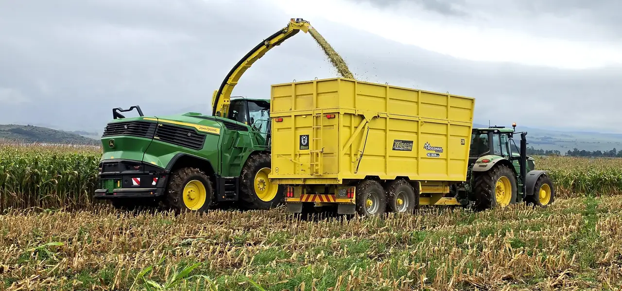 Forage harvester filling a yellow Jedidiah trailer in a maize field